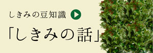 一つ一つを丁寧に　出荷までの行程作業＞