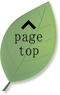 Page top