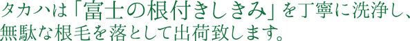 タカハは「富士の根付きしきみ」を丁寧に洗浄し、無駄な毛根を落として出荷致します。